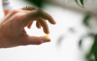 A Importância da Suplementação